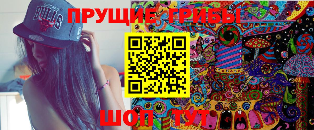Сосновый Бор  Псилоцибиновые грибы Magic Shrooms  Вход с VPN  Псилоцибиновые грибы Magic Shrooms 