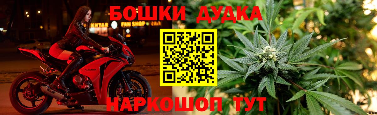 Конопля планчик Сосновый Бор